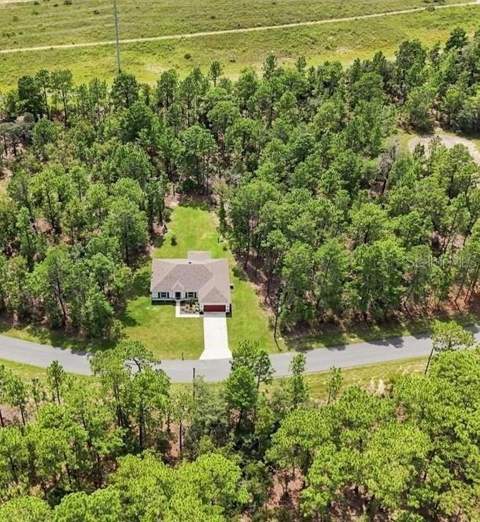 1896 W Riley Drive, Citrus Springs FL - photo 6 of 6