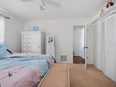 13507 Shadberry Lane, Hudson FL - photo 23 of 40