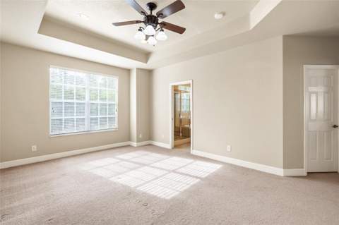 14543 Mirabelle Vista Circle, Tampa FL - photo 22 of 52