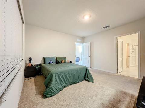 30380 Armenia Road, Leesburg FL - photo 17 of 21