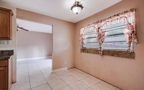 2370 Valley Avenue, Kissimmee FL - photo 9 of 22