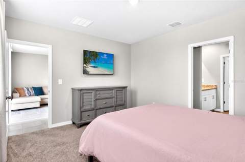 3729 Radiant Mountain Drive, Plant City FL - photo 19 of 38