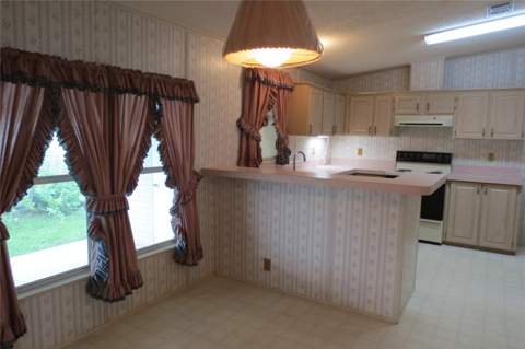 36603 Jodi Avenue, Zephyrhills FL - photo 11 of 58