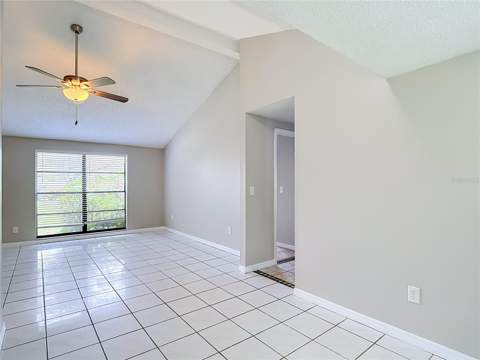 6701 Village Grove Court, Tampa FL - photo 7 of 39
