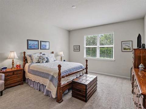 6261 Citrus Grove Court, St Cloud FL - photo 11 of 33
