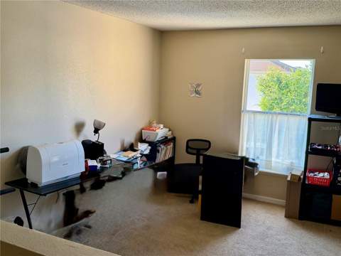 510 Lobelia Drive, Davenport FL - photo 22 of 30
