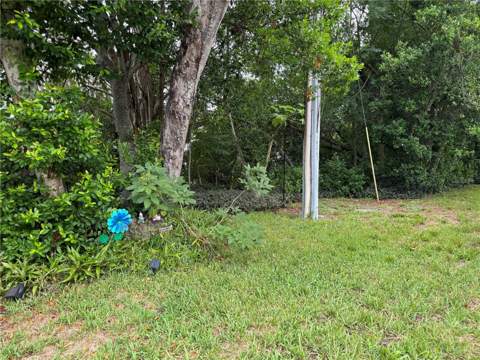 10707 Salamanca Drive, Port Richey FL - photo 17 of 19