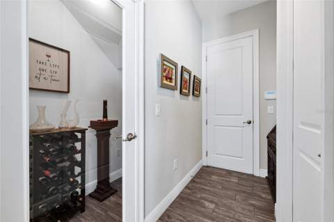 15625 Sylvester Palm Drive, Winter Garden FL - photo 24 of 76