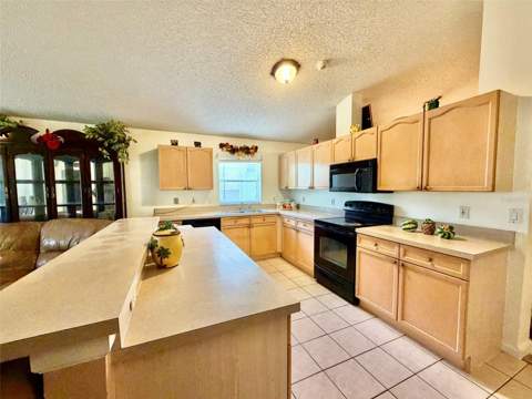2319 Lily Pad Lane, Kissimmee FL - photo 8 of 36