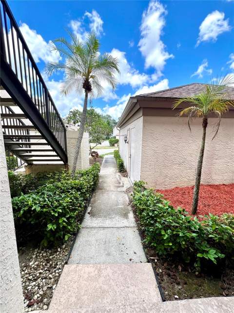 3014 Red Oak Court #102, Palm Harbor FL - photo 6 of 6