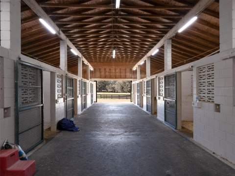 11122 W Highway 326, Ocala FL - photo 6 of 6