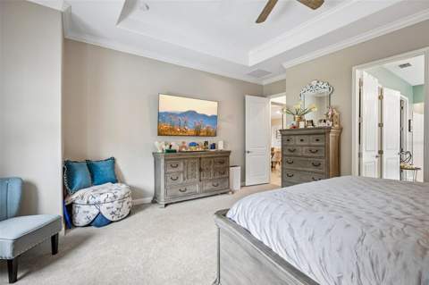17022 Forge Surf Street, Land O Lakes FL - photo 22 of 62