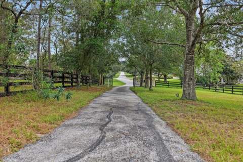 470 Fay Avenue, Spring Hill FL - photo 7 of 36