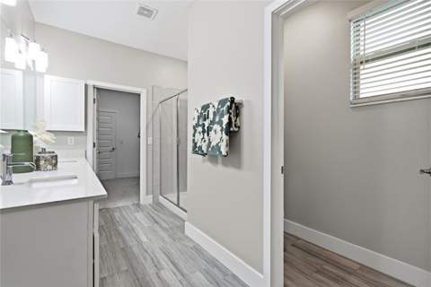 9807 Wild Begonia Loop, Land O Lakes FL - photo 20 of 48