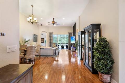 27443 Mistflower Drive, Wesley Chapel FL - photo 8 of 46