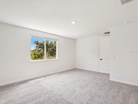 10506 Abundance Grove Way, Parrish FL - photo 10 of 11