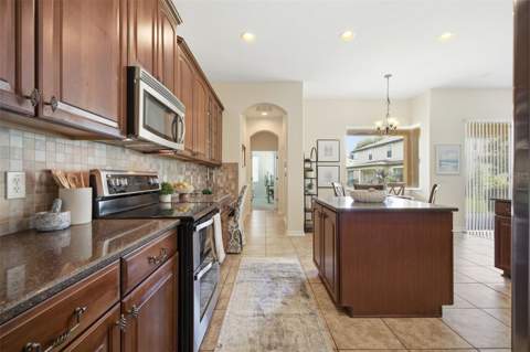 8822 Westerland Drive, Land O Lakes FL - photo 11 of 43