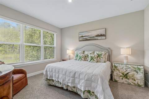 4333 Cairoli Court, Wesley Chapel FL - photo 10 of 99