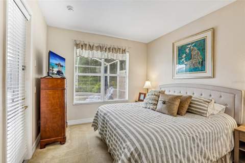 27443 Mistflower Drive, Wesley Chapel FL - photo 22 of 46