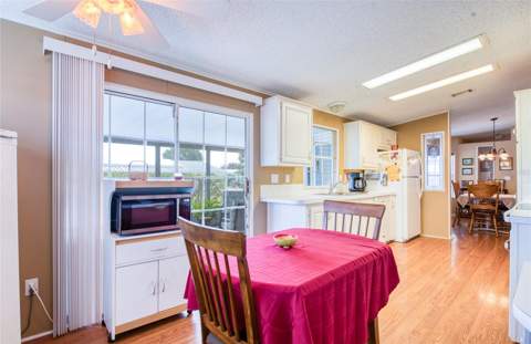 258 Pelican Drive, Oldsmar FL - photo 10 of 51