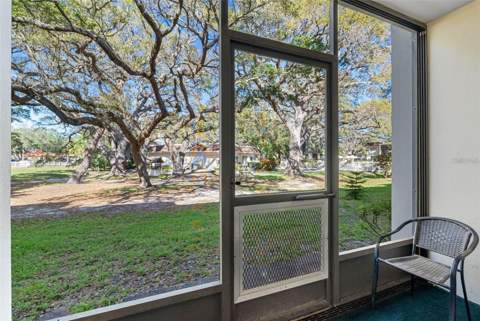 870 Virginia Street #104, Dunedin FL - photo 13 of 21