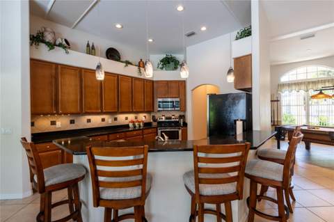 21023 Los Cabos Court, Land O Lakes FL - photo 12 of 44