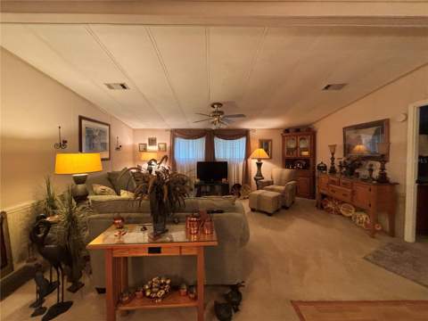3833 Olax Court, Zellwood FL - photo 9 of 30