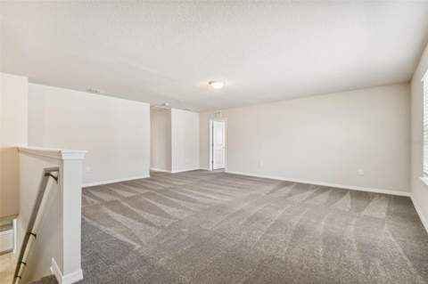 13718 Evergreen Valley Drive, Riverview FL - photo 13 of 37