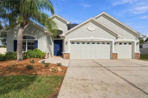 3335 Stonegate Falls Drive, Land O Lakes FL - photo 8 of 83