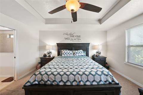 8415 Loblolly Pine Court, Riverview FL - photo 10 of 38