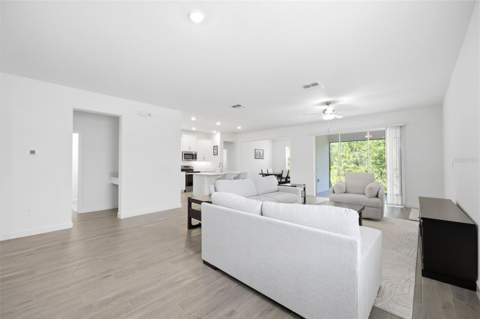 9776 Minnow Ray Drive, Land O Lakes FL - photo 8 of 44