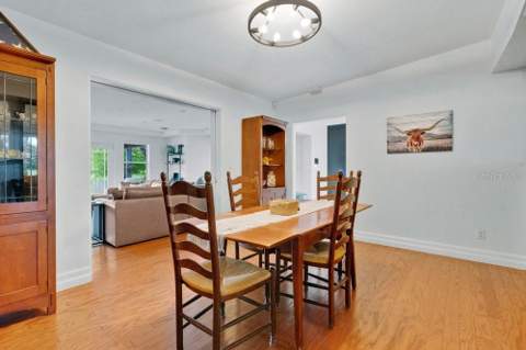 2227 Howard Drive, Winter Park FL - photo 14 of 51