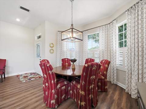 19409 Golden Slipper Place, Lutz FL - photo 6 of 50