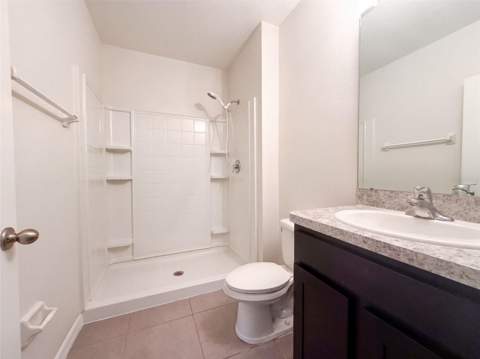 16805 Trite Bend Street, Wimauma FL - photo 9 of 28