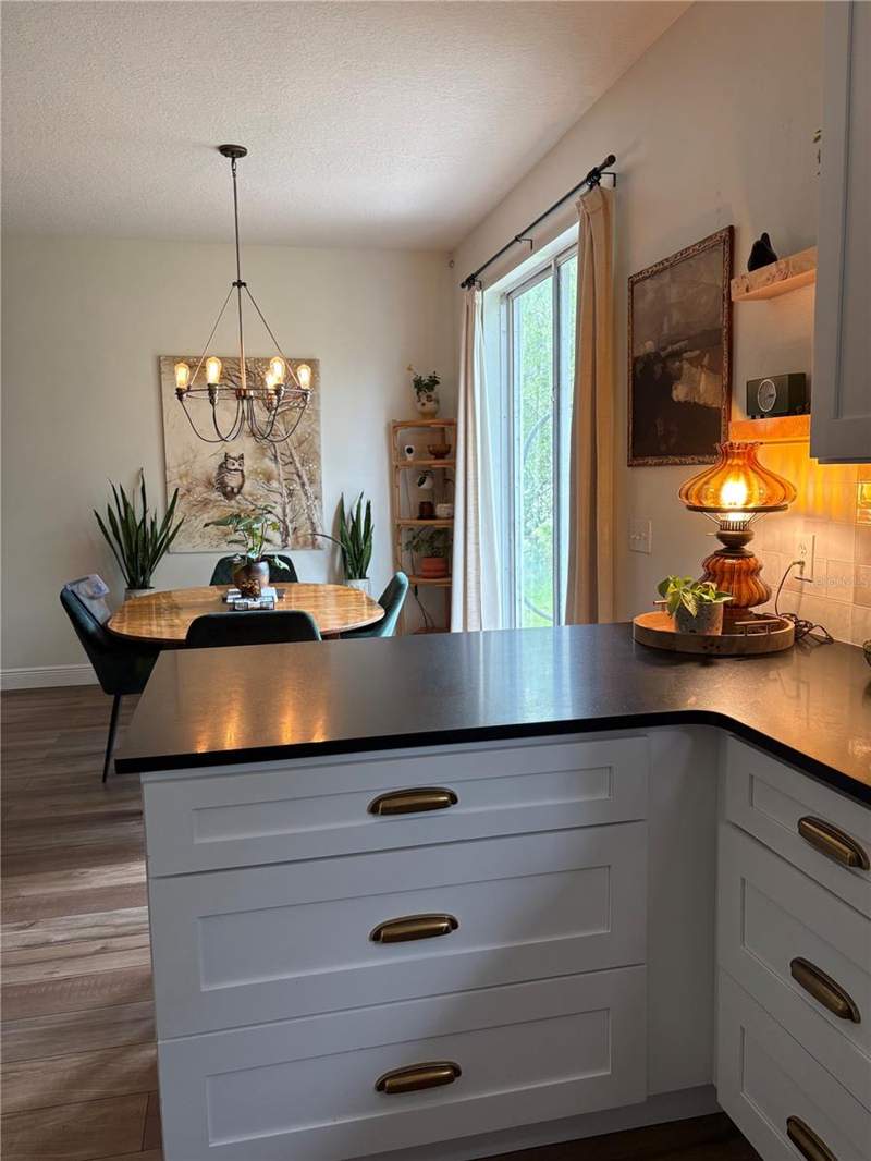 3 bedroom Single Family Residence at 26841 Stillbrook Drive, Seven Oaks Prcl S-6B, Wesley Chapel — photo 3