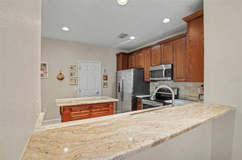 441 Harbor Ridge Drive, Palm Harbor FL - photo 17 of 51