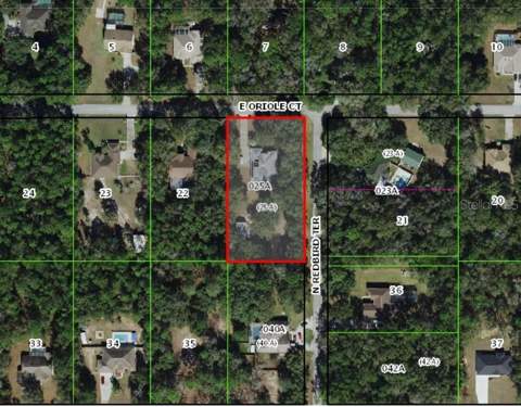 1210 E Oriole Court, Hernando FL - photo 23 of 23