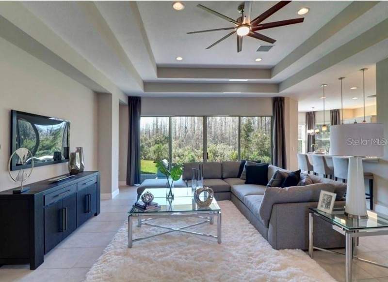 3 bedroom Single Family Residence at 30582 Ivy Forge Court, Wiregrass M23-Ph 1A 1B, Wesley Chapel — photo 4