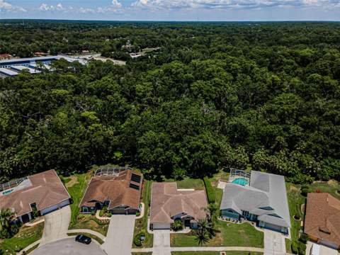 6646 Garden Palm Court, New Port Richey FL - photo 6 of 79