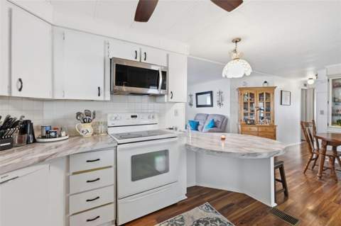 2049 Manoa Drive, Holiday FL - photo 10 of 29
