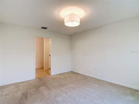 30541 Satinleaf Run, Brooksville FL - photo 23 of 54