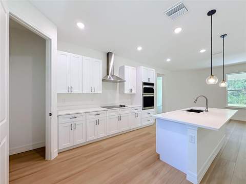 41334 Persimmon Street, Eustis FL - photo 18 of 64