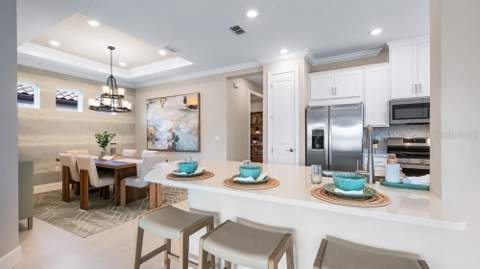 3801 Fraccareta Way, Wesley Chapel FL - photo 6 of 27