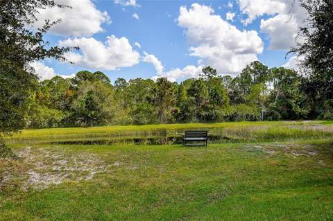 10109 Mowry Lane, Tampa FL - photo 24 of 25