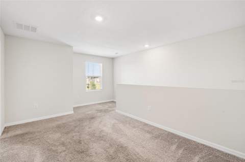 14886 Summer Branch Drive, Lithia FL - photo 23 of 51