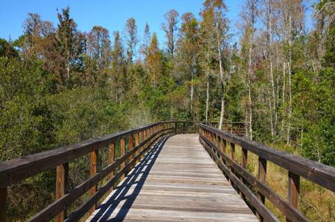 21673 Snowy Orchid Terrace, Land O Lakes FL - photo 24 of 25