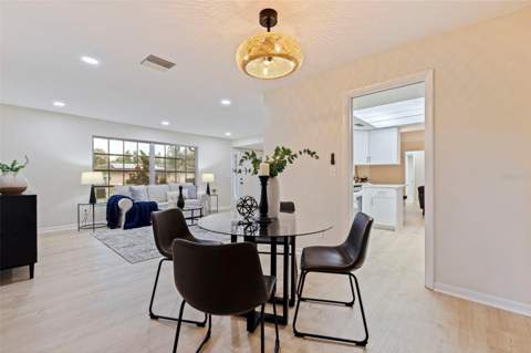 1011 Macrae Avenue, Clearwater FL - photo 11 of 35