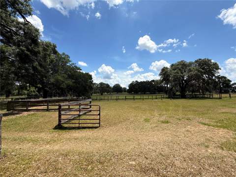 7119 SW 80th Avenue, Ocala FL - photo 20 of 59