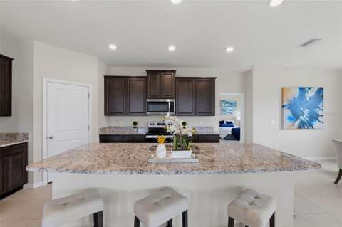 32337 Conchshell Sail Street, Wesley Chapel FL - photo 9 of 56
