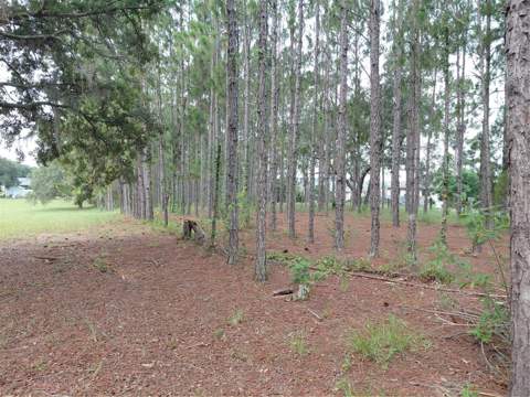 14240 Lost Lake Road, Clermont FL - photo 23 of 47